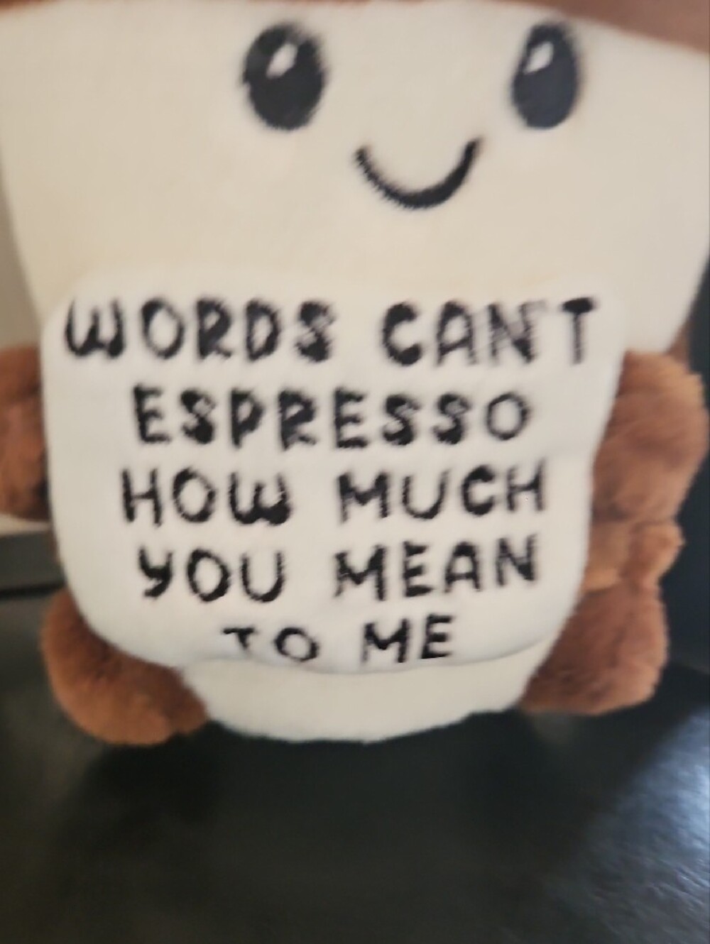 Cute Brown & Cream Coffee Plush with Embroidered Message - Picture 6 of 10
